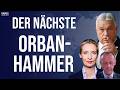 Aufstand gegen Brüssel weitet sich aus!💥Weidel verpasst Merz eine Klatsche💥Blamage für die Grünen