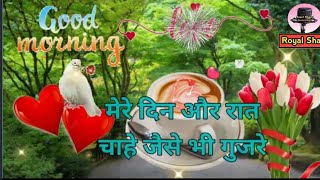 जब आप आंखे खोलो 🌺| ने Good Morning Night Watsapp Love shayari Status Video screenshot 1