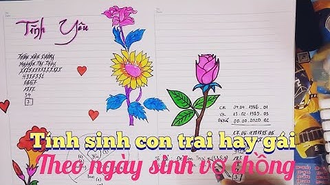 Khi nào biết sinh con trai hay gái năm 2024