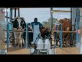 Cut agro industrial park  chinhoyi dairy  agri diaries