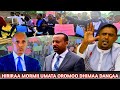 HIRIRAA Mormii Umata Oromoo Saamichaa Dangaa Oromia Moyalee Iratii Boranaa Harargee Fi Baalee Ho HIRIRAA Mormii Umata Oromoo Saamichaa Dangaa Oromia Moyalee Iratii Boranaa Harargee Fi Baalee Ho