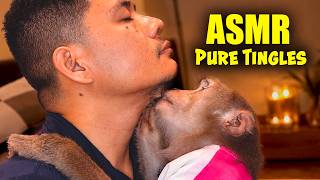 Monkey ASMR (No Talking) | Most Satisfying Hair Pick, CRISP Parting & DEEP Sleep Tingles screenshot 4