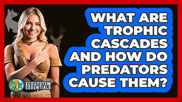 What Are Trophic Cascades And How Do Predators Cause Them? - Ecosystem Essentials