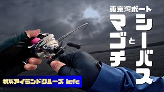 【東京湾】富津沖で楽しむボートマゴチ＆シーバス釣り / 横浜アイランドクルーズ