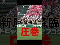 【新魔曲】圧巻、新世界より（國學院栃木）#Shorts