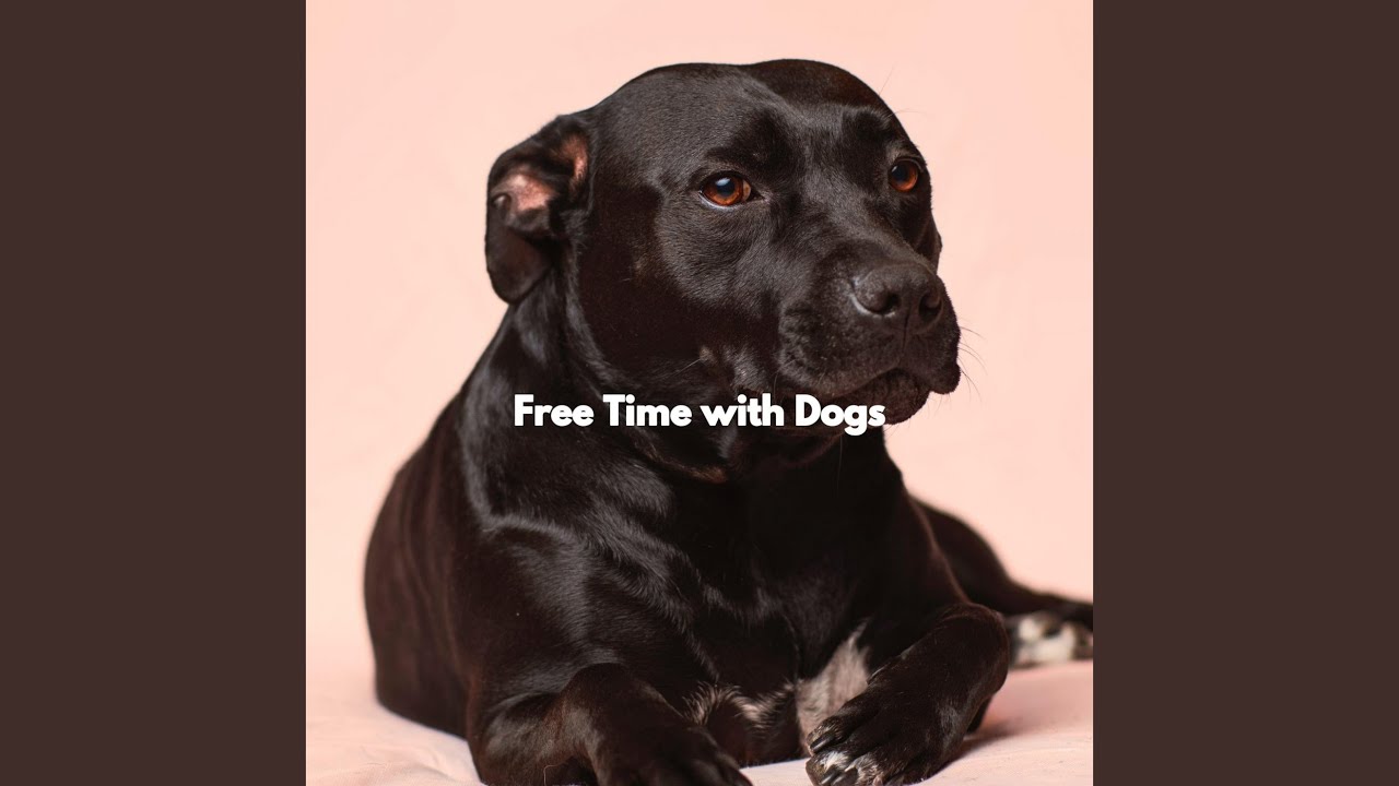 Sensational Story Discovery