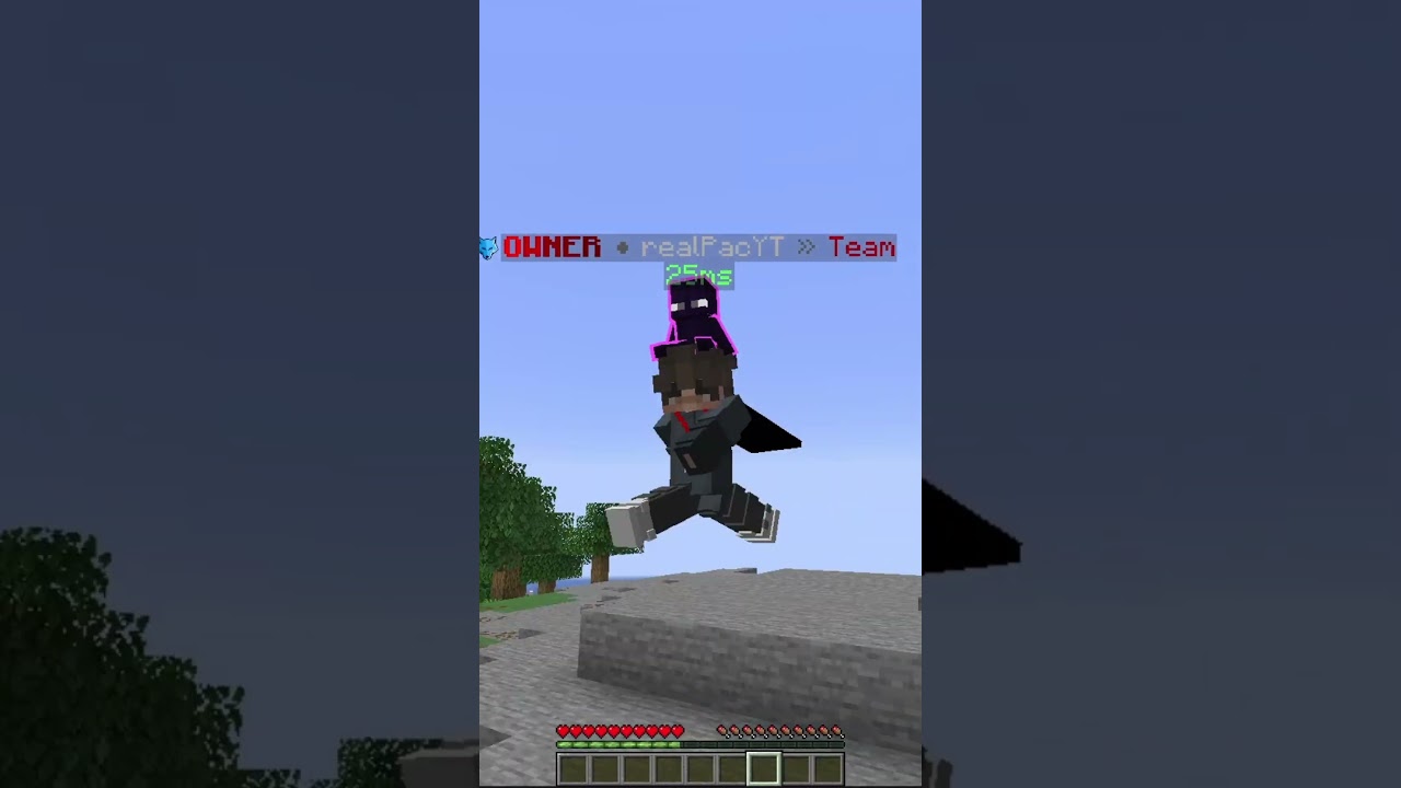 Komm jetzt auf PacSMP  #minecraft