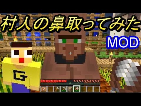 マインクラフト 村人の鼻取ってみた Villager S Nose Mod Youtube