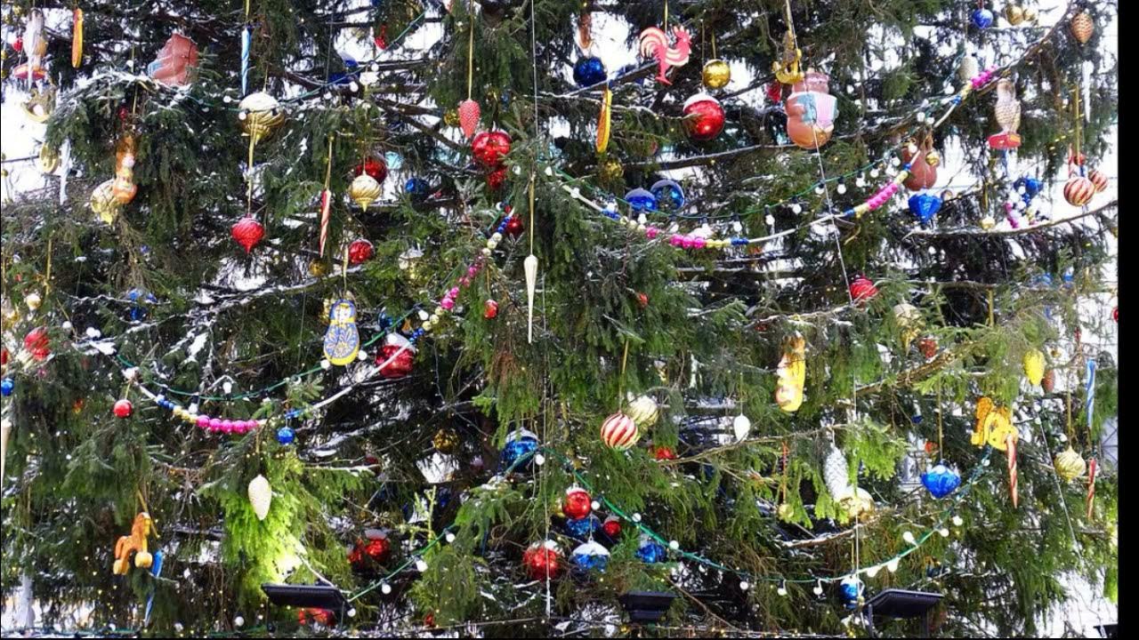 казанская елка 2023. палестинцы украсили елку. вешает игрушку на елку. главная елка казани 2022. армейская елка новогодняя.