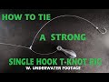 Great SINGLE HOOK T-KNOT RIG for Tautog or Bottom Fishing with Underwater Footage