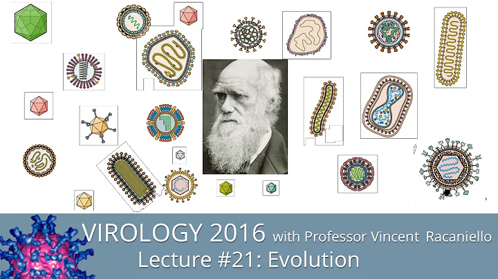 Virology Lectures 2016 #21: Evolution