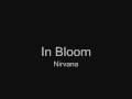 In Bloom - Nirvana [Lyrics]