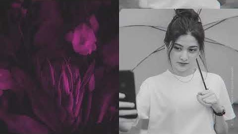 Multi Screen Opener    Dynamic Intro for After Effects 2022