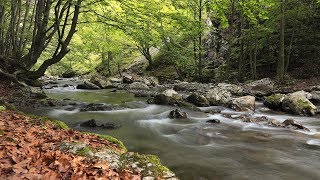 Meditation Music Meditation Music