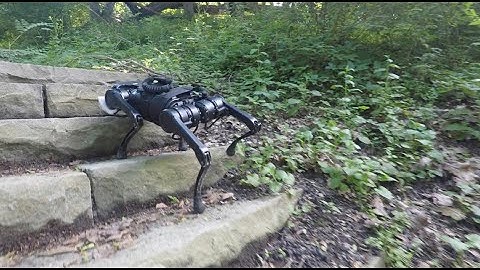 Legged Locomotion in Challenging Terrains using Egocentric Vision
