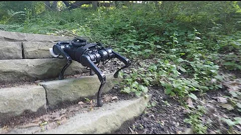 Legged Locomotion in Challenging Terrains using Egocentric Vision