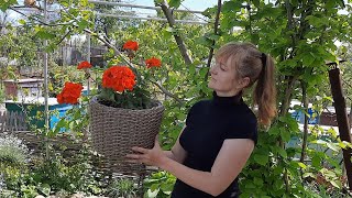 Life in a Ukrainian village. Making rattan flower pot for flowers. Cooking frittata with vegetables.