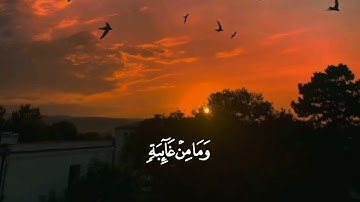 وَإِنَّ رَبَّكَ لَذُو فَضۡلٍ عَلَى ٱلنَّاسِ 🌷 #سورة_النمل #ياسر_الدوسري 