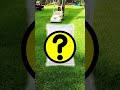 最強コンポストの土づくり！芝生の枯れ葉がフッカフカの「堆肥」に変わります。「米ぬか」と「微生物」のチカラ！