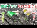 【比較検証】SNSで大バズりした雑草ブラシと100均の雑草カッター。なにが違う？？