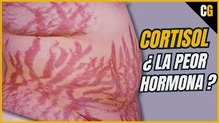 Cortisol - ¿La PEOR Hormona de Todas? - Síndrome de CUSHING y Efectos del CORTISOL- Estrés 2/2
