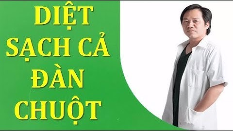 Diệt sạch cả đàn chuột chỉ nhờ 1 nắm gạo làm theo cách này