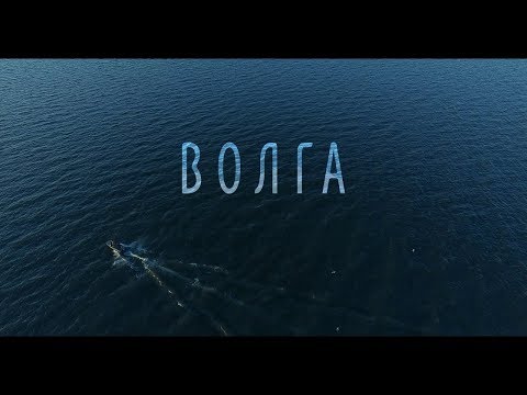 Видео: Слива Волга красота: описание и характеристики на сорта, предимства и недостатъци, функции за засаждане и грижи + снимки и рецензии