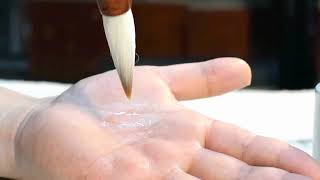 Wooden Writing Brushes Wolf Hair Traditional Calligraphy Painting Practice Script Supply screenshot 3