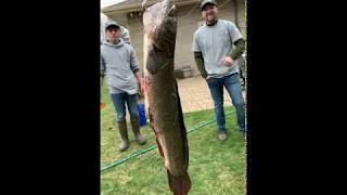 BAA Youth Wisconsin state record Bowfin (dogfish)