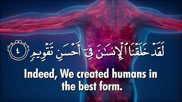 Surah At Tin The Fig سورة التين