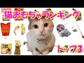 猫おもちゃランキングトップ3！【ネコ吉大興奮の3つの玩具】Top 3 cat toys! [Neko-kichi's best 3 toys]