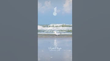 قران كريم | آيات بينات من سورة ال عمران للشيخ عبد الله الموسى