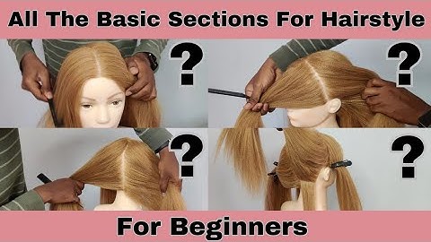 Hair Sectioning Technique || Basic section of Hairstyling