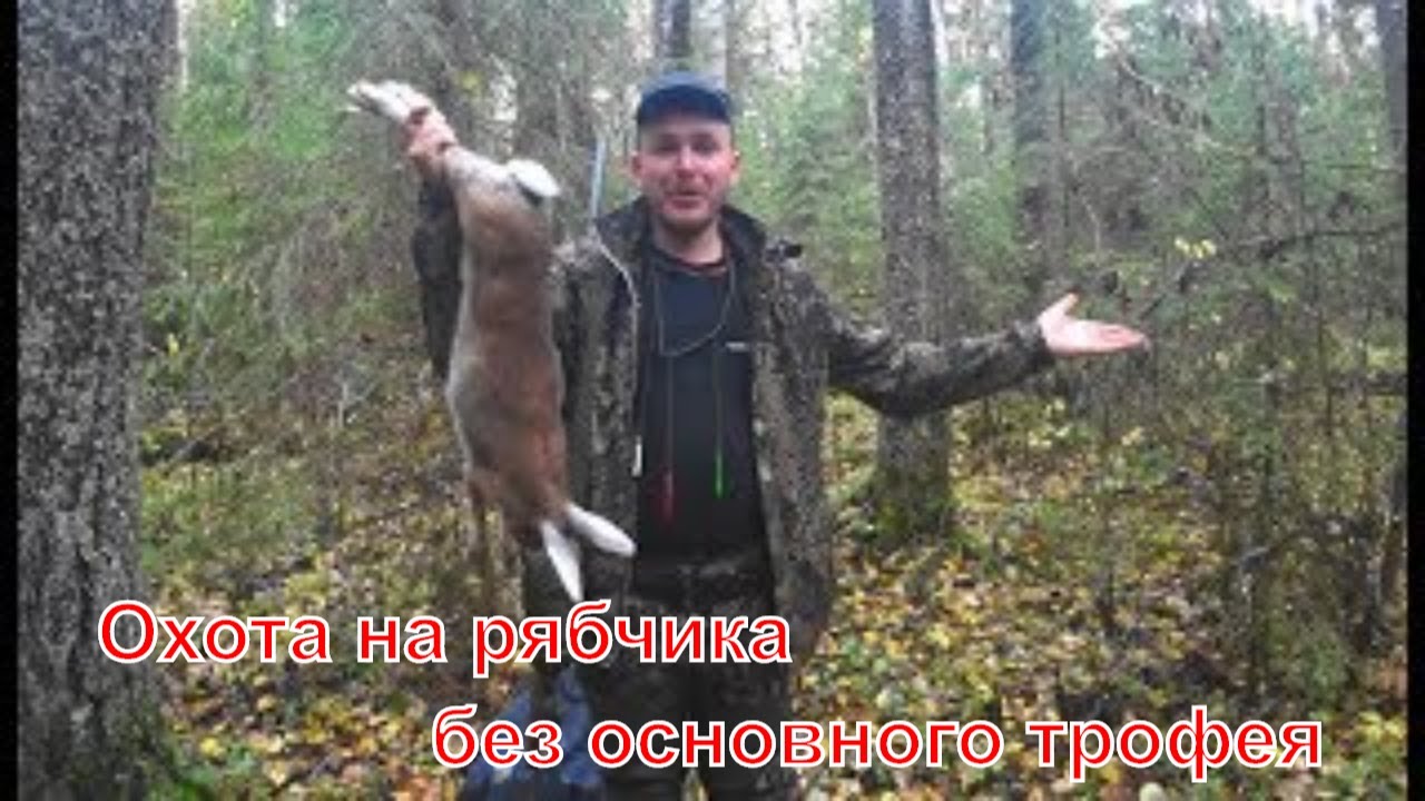 Рябчик #14 Не летит, не свистит...Что делать? охота на рябчика осенняя охота