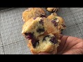 Easy Homemade BlueBerry Muffin