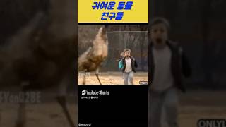 귀여운동물친구들 #댕댕이 #고양이 #각종유머 #강아지 #냥냥이 #귀여운동물 #귀여운동물친구들 #동물 #동물친구들 #유머 #애견영상