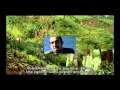 Strain Hunters Malawi Italian Subtitles