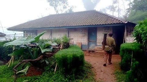 Aktivitas Pagi Hari Saat Turun Kabut Di Kampung Terpencil | Pedesaan Sunda Jawa Barat