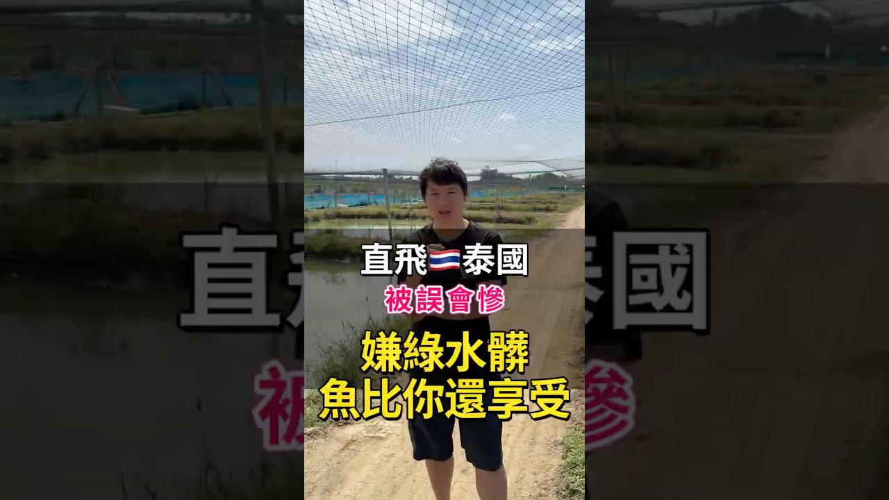 破除老一輩對水色的迷思!揭密天然綠藻水與礦物質如何養出極致艷麗的金魚!! #中國風金魚 #aquarium #蘭壽#泰獅 縮圖