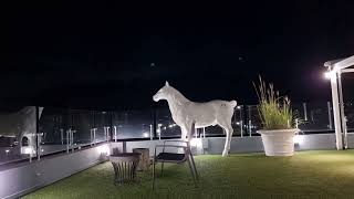 멍때리기,라림부띠끄호텔,대평포구,대평마을,제주도