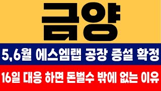 [금양] 5,6월 에스엠랩 공장 증설 확정! 16일 대응 하면 돈벌수 밖에 없는 이유! #금양 #장희빈 #장교수