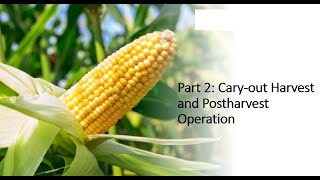 Part 2: Cary-out Harvest and Postharvest Operation