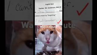 Celebrity I mean hes not wrong.#memes#shorts#cat Net Worth