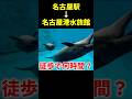 【徒歩検証】名古屋駅から歩いて名古屋港水族館に行ったら何時間かかるの？ #徒歩検証 #徒歩旅 #名古屋駅 #名古屋港水族館