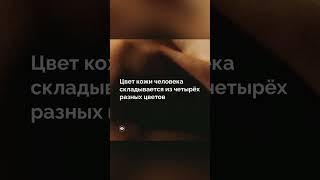 Факт про кожу #факты #фактыинтересные #топфакт