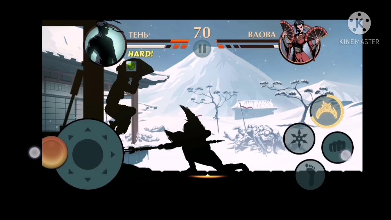 Как пройти спец тренировку сегуна. Сёгун shadow fight. что будет если победить сегуна.