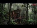 Soft Rain Loop with Gentle Thunder for Deep Rest