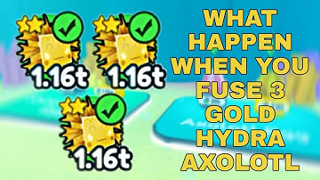 What happen when you fuse 3 gold hydra axolotl |PET SIMULATOR X | HAKDOGFUSINGMETHOD