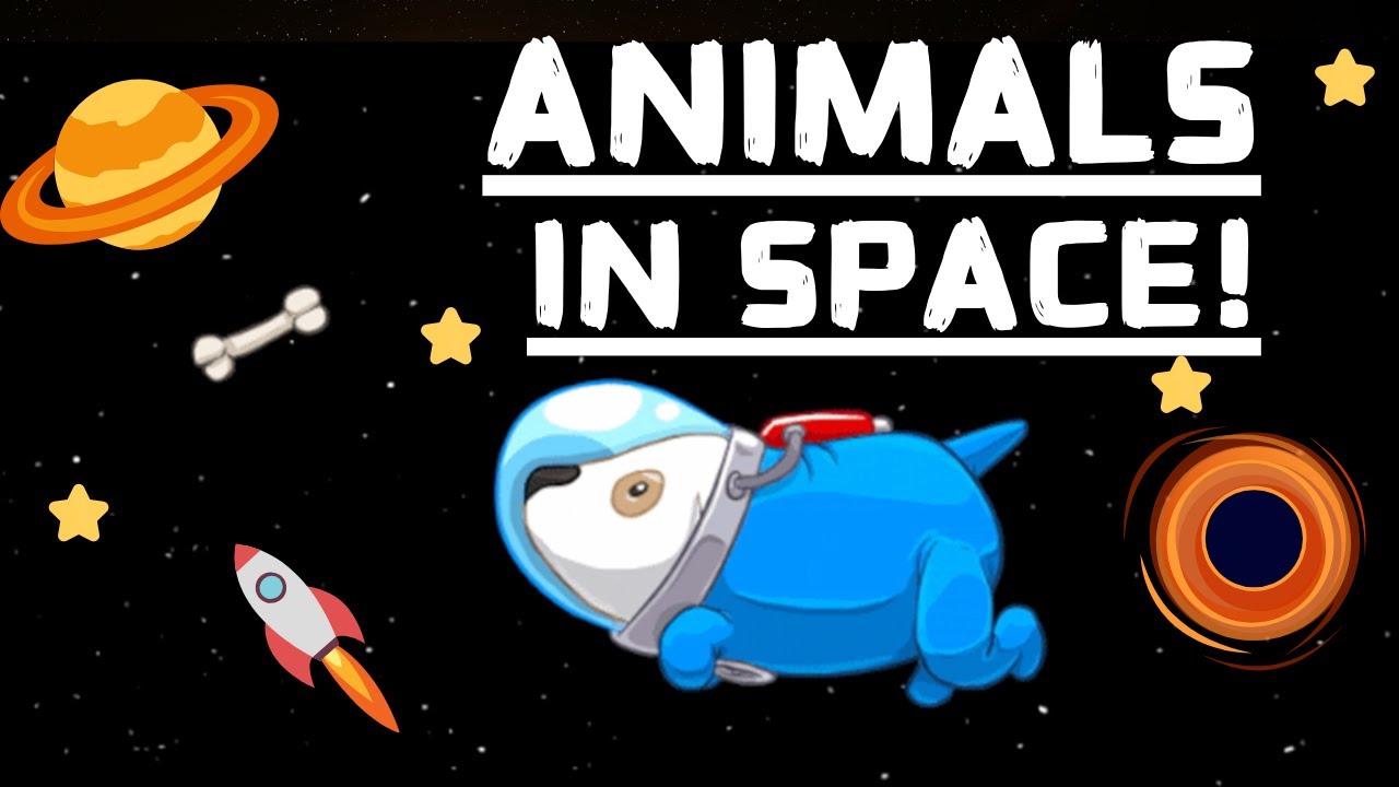 ANIMALS IN SPACE Meet the Craziest Space Explorers