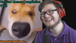 (pov shiba inu) Unusual Memes Compilation V183 - GoronGuyReacts